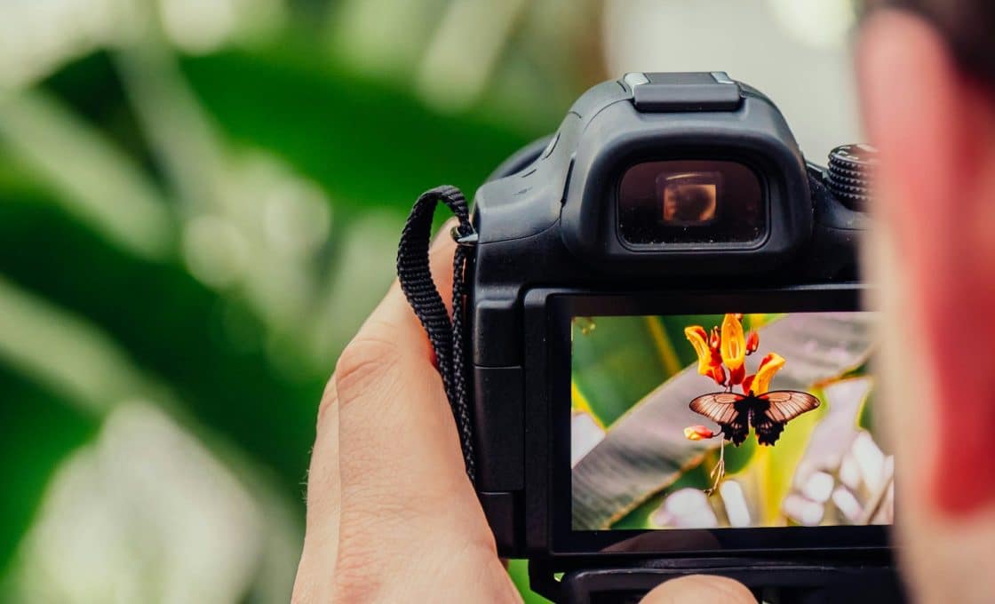 La photographie